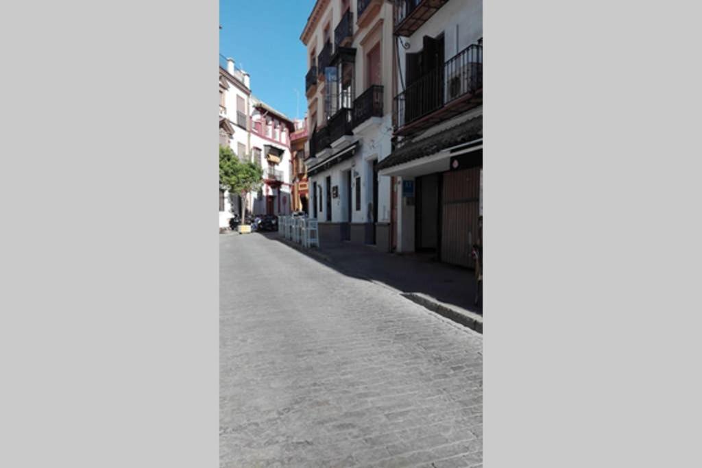 1 Minute From Cathedral. Feel The Heart Of Sevilla Eksteriør billede